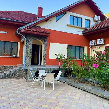 Pensiunea Orhideea Беїле-Херкулане Екстер'єр фото
