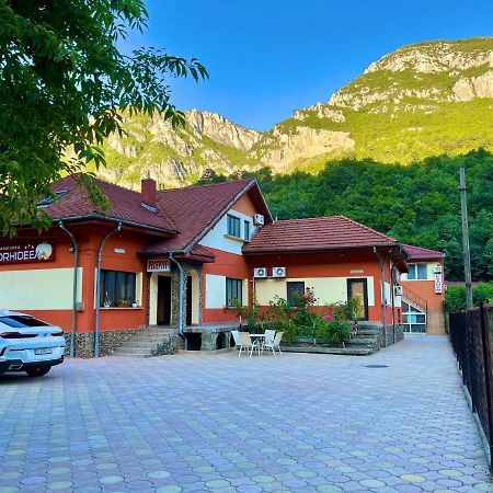Pensiunea Orhideea Беїле-Херкулане Екстер'єр фото